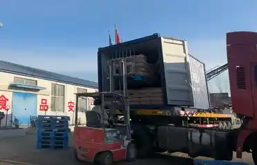 Qinhuangdao Tongyou Potato Industry pošilja 10 zabojnikov izvoznega škroba iz sladkega krompirja v Južno Korejo Qinhuangdao Tongyou Potato Industry pošilja 10 zabojnikov izvoznega škroba iz sladkega krompirja v Južno Korejo