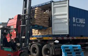 Zakaj južnokorejski kupci uvažajo škrob iz sladkega krompirja iz Lulonga? Pogled na postopek nakladanja in pošiljanja v Tongyou Potato Industry